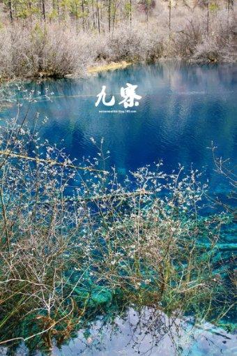 探索问题答案,尽在什么是“人口红利”?人口红利对社会发展起到哪些作用?问答交流平台